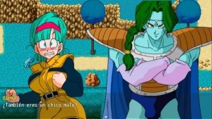 Bulma Adventure 3 2