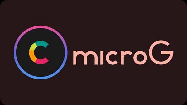 MicroG screenshot 2