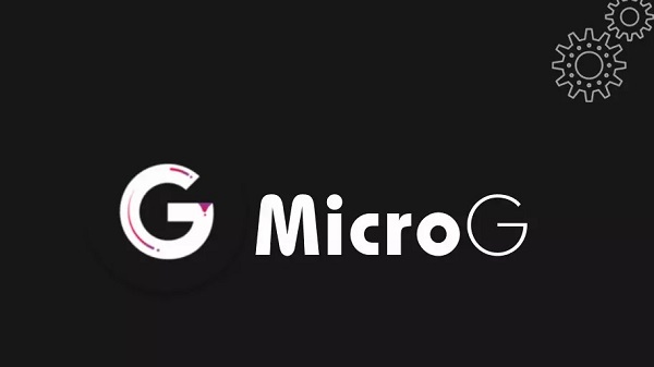 MicroG screenshot 3