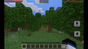 Minecraft 1.20.73 3