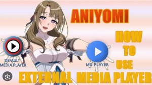 Aniyomi 1