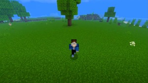 Minecraft 1.20.50 3