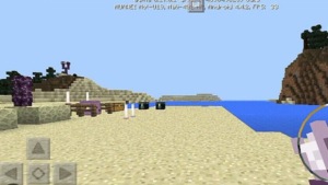 Minecraft 1.20.10 2