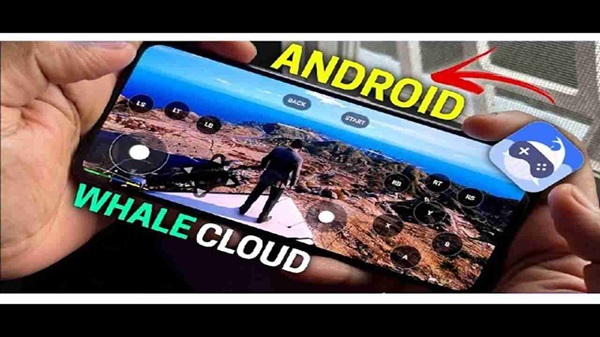 Whale Cloud Game screenshot 4