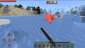 Minecraft Bedrock 3