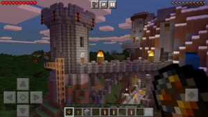 Minecraft 1.19.81.01 4