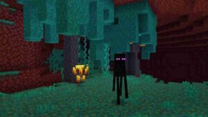 Minecraft 1.21.20.23 2