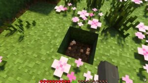 Minecraft 1.21.51 2