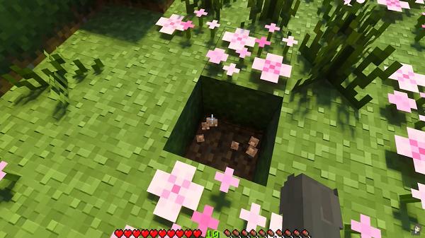 Minecraft 1.21.51 screenshot 2