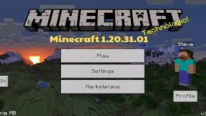 Minecraft 1.20.31.01 1