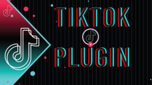 TikTok Plugin 1